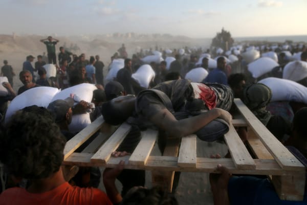 ICE Neither Confirms Nor Denies Investigations of Israeli War Crimes
